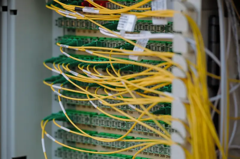 Cables de red ordenados y conectados